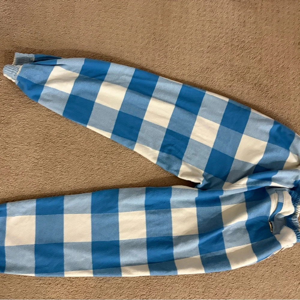 Aviator Nation Blue and White Check Jogger Pants - Picture 4 of 4